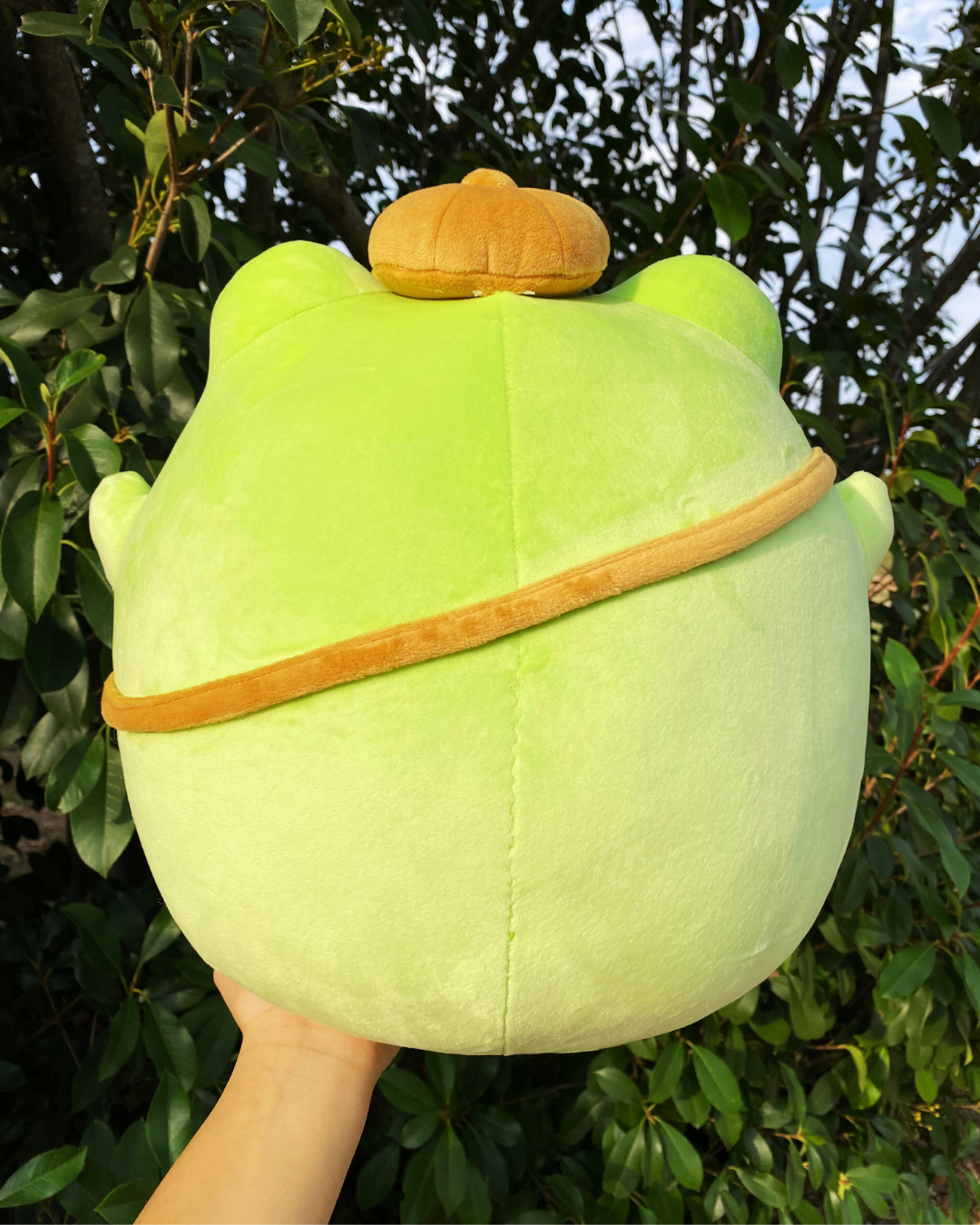 Tavi the Gentle Explorer